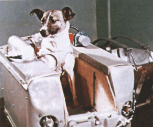 Laika