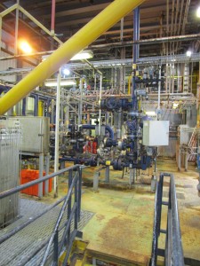 Cellar Deck